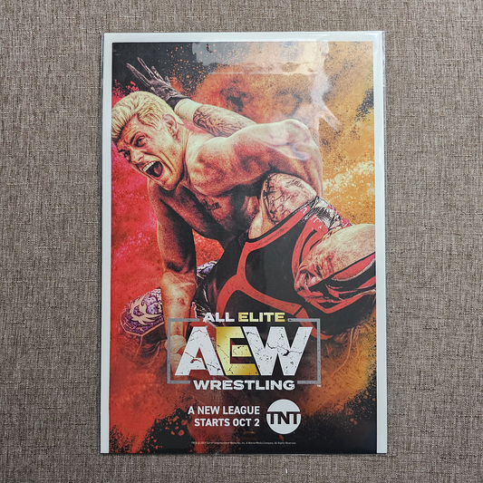 🤼‍♂️ 2019 All Elite AEW Wrestling Print Ad